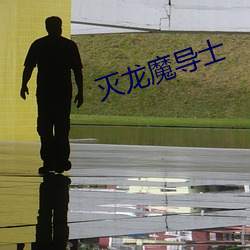 滅龍魔導士