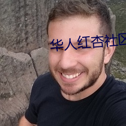 华人红杏社区