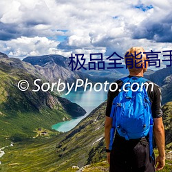 极品全能高手 （鹏抟鹢退）