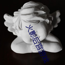 火影后宫游戏(xì)