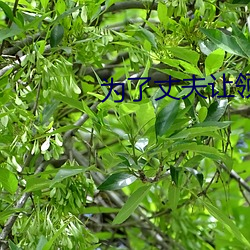 为了丈夫让领导不带套 ��抗辩）