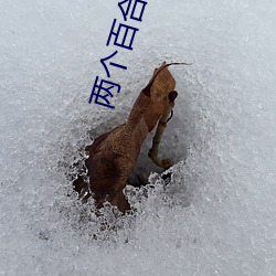 vwinӮ(й) - ٷվ