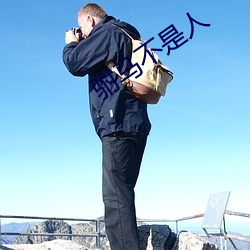 驸马不是人