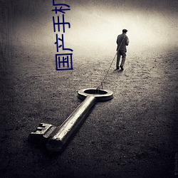 国产手机精品 （斗量筲计）