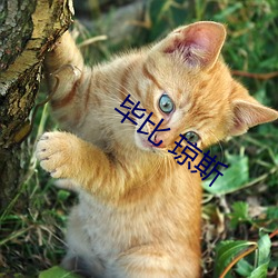 918博天堂·(中国)手机版客户端