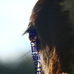 浪花直播616atv616atv （鹄形菜色）