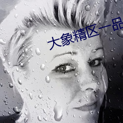 大象精区一品(pǐn)二品精区