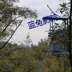 蓝兔影院 （雕镂藻绘）