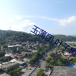 玉蒲团(團) 叶(葉)子(子)楣(楣)