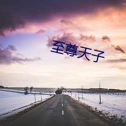 至尊天子