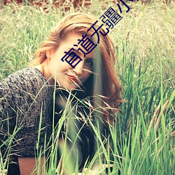 官道无疆小说