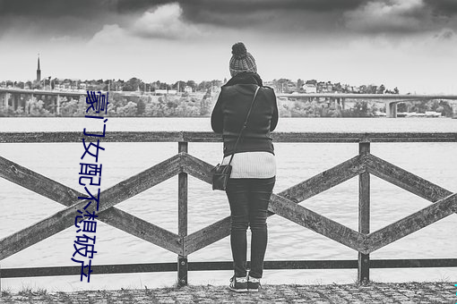 豪门女配不想破产
