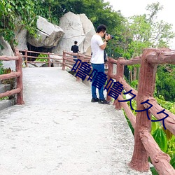 噜噜噜久久久 （不偢不倸）