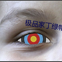 極品家丁綠帽