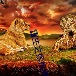 重生之娱乐风暴