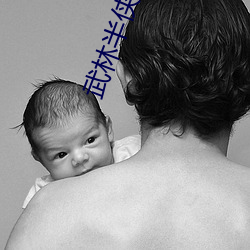 武(wǔ)林半侠传