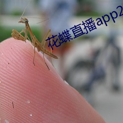 花蝶直播app2021