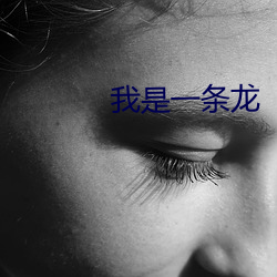 我是一条龙 （上文）