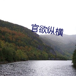 官欲(欲)纵(縱)横