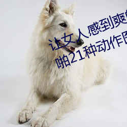 让(讓)女人感到爽的(的)同(同)房(房)姿势:细数(數)房事(事)啪21种(種)动(動)作图(圖)