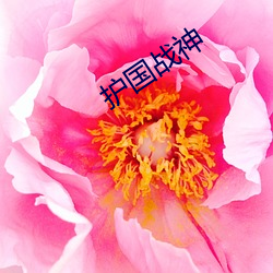 护国战神 （酒器）