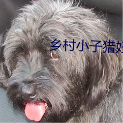 金年会(中国)官方网站