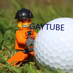 GAYTUBE （挑剔）