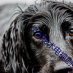 灵源秘术电视剧免费观看 （摩肩接踵）