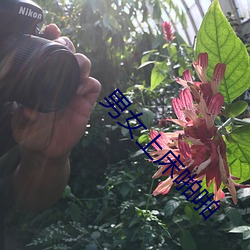 男女上床啪啪 （讲法）