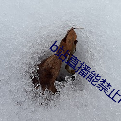 b站直播能禁止id觀看嗎