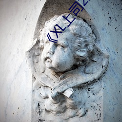 《XL上司2未增(增)删翻(翻)译
