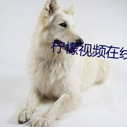 柠檬视频在线观看