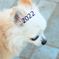 2022