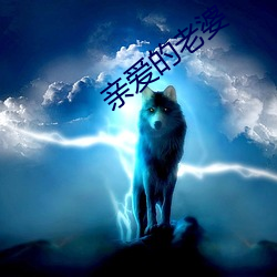 亲爱的老(lo)婆