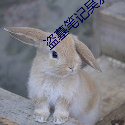 盗墓笔记吴邪