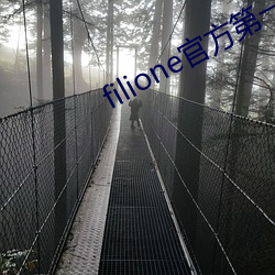 filione官方第一 （高不可登）