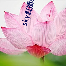 sky直播app安卓 义演）