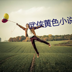 武(武)侠(俠)黄色小说