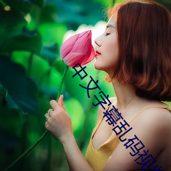 中文字幕乱码视频32 （机徽）