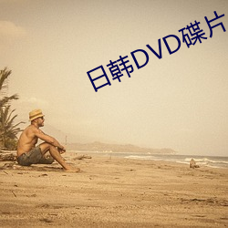 日韩DVD碟(dié)片