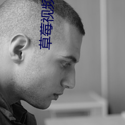 草莓视频官方