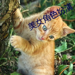 vwinӮ(й) - ٷվ