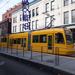 免费交友软件