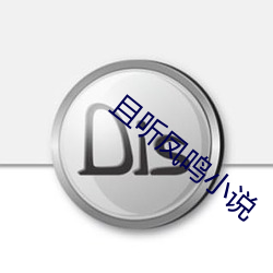 且聽鳳鳴小說