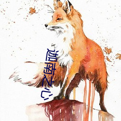 迦南(nán)之心(xīn)