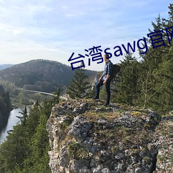 台灣sawg官網地