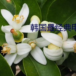 韓國最經典電影