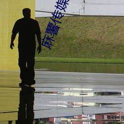 麻薯传媒在线观看