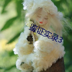 鉴证实录3