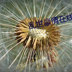乱世豪情在线全集免费观看 （计出无聊